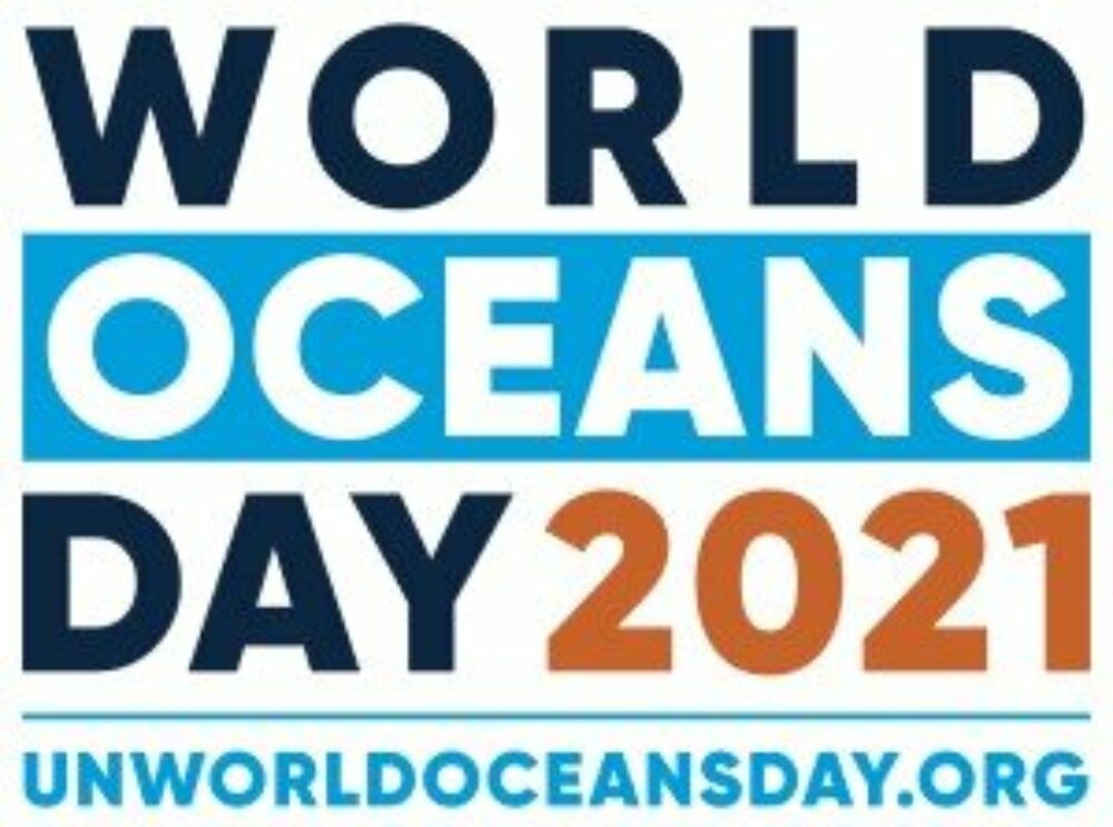The Seacleaners World Oceans Day 2021